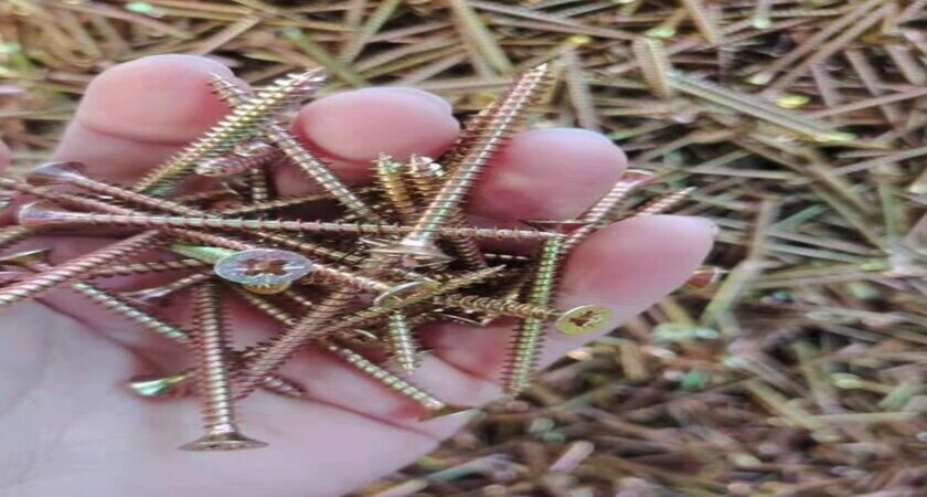 Why Stainless Screws Are the Best Choice for Durability and Strength
