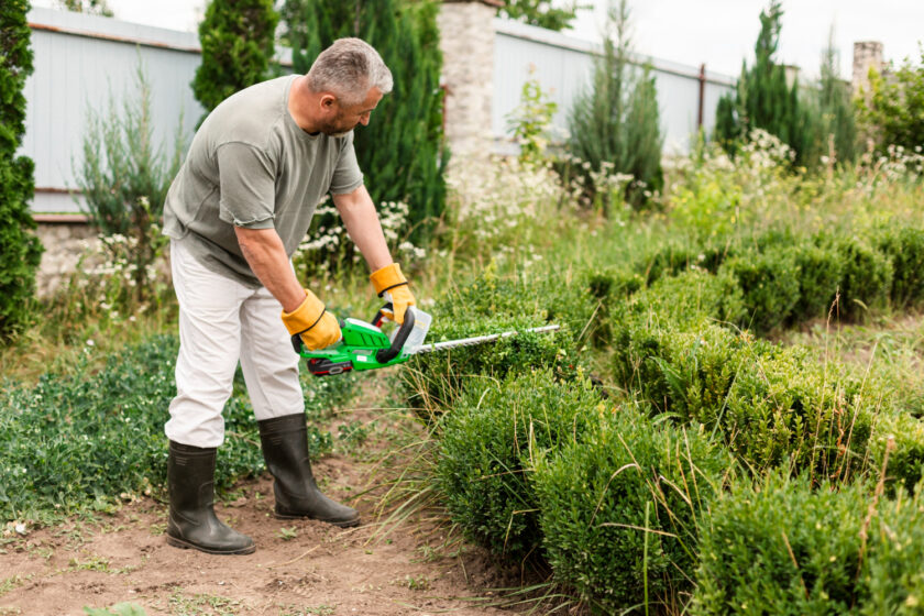 Top Tips for Lawn Care in Edmonton to Keep Your Yard Beautiful
