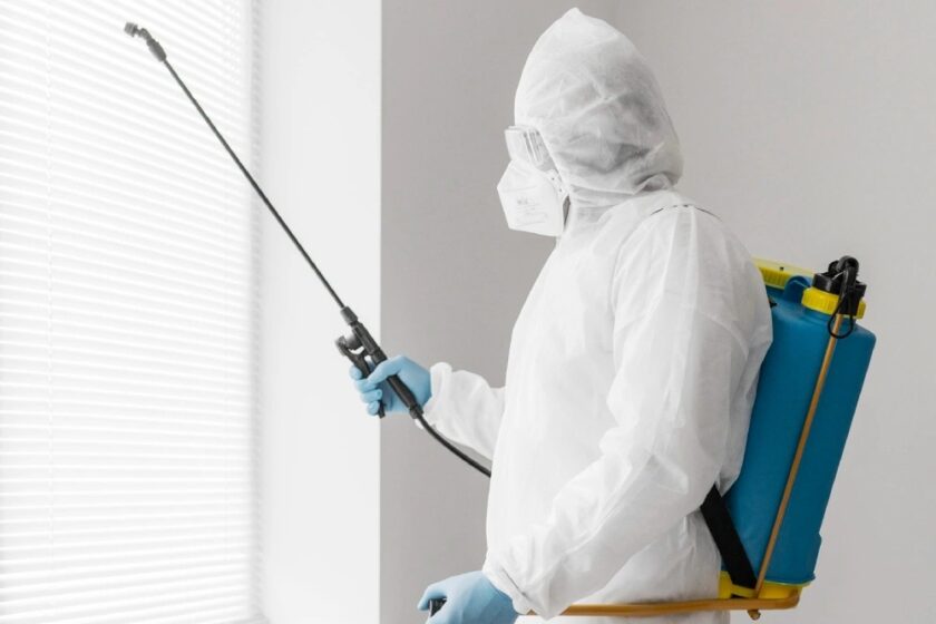 Stop Pest Problems Fast with the Best Pest Control in Edmonton