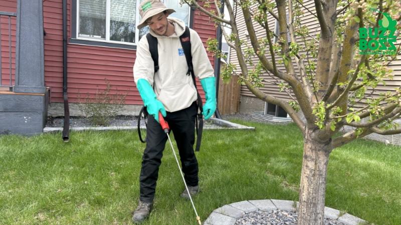 commercial pest control in Edmonton
